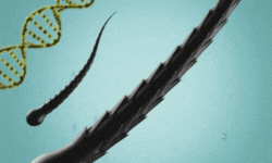 Prescribed Essence Formulas For Hair Growth
